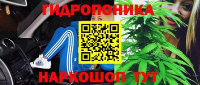 крисы Ивантеевка