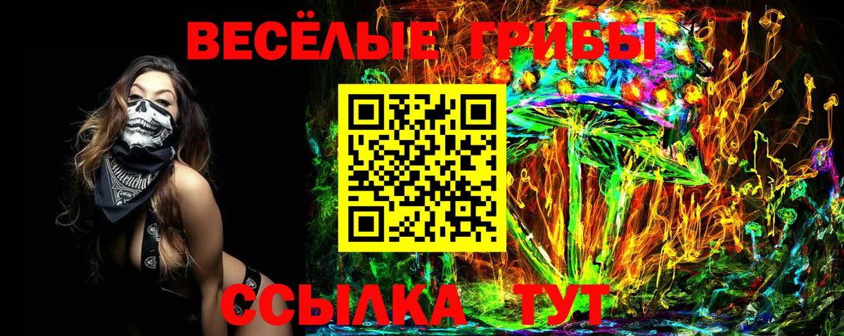 Псилоцибиновые грибы Magic Shrooms  хочу   Кропоткин  Галлюциногенные грибы Cubensis  Вход с VPN 